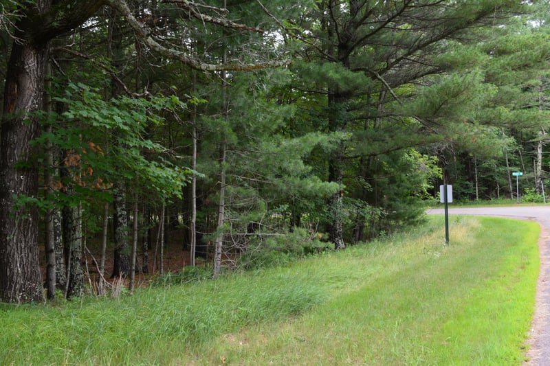 TBD Benson Rd, Grantsburg, WI 54840