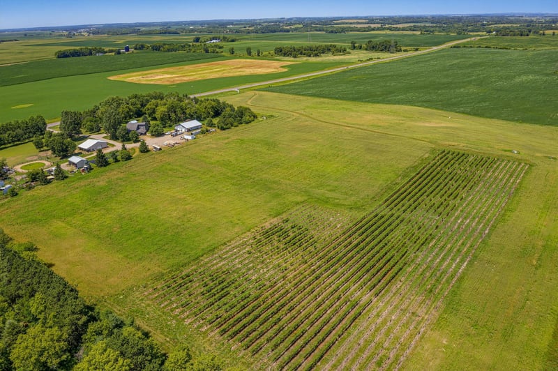XXXXX Mn Highway 15, Dassel, MN 55325