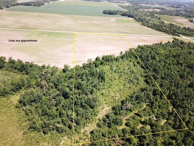 TBD Boot Lake Rd SW, Bemidji, MN 56601