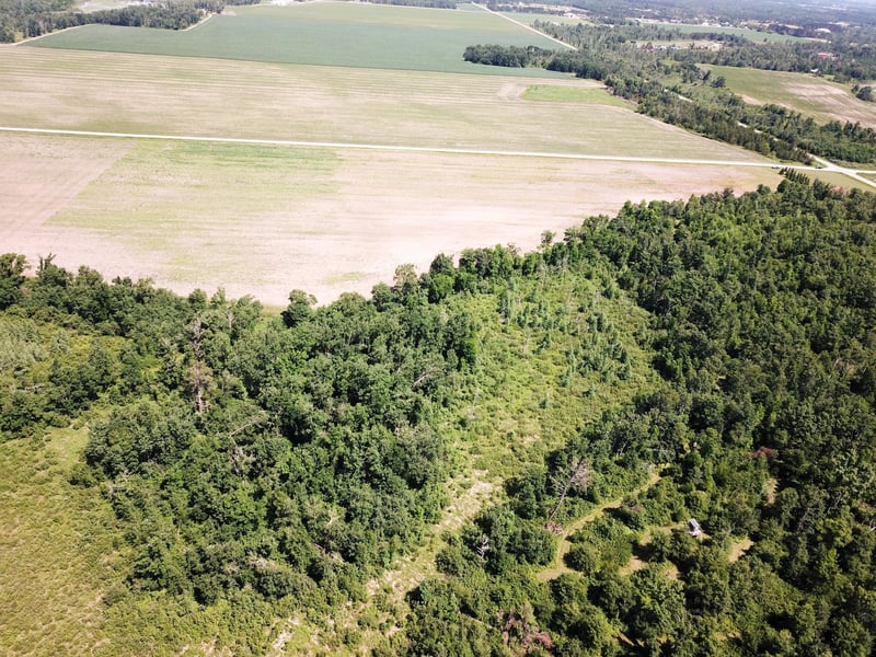 TBD Boot Lake Rd SW, Bemidji, MN 56601