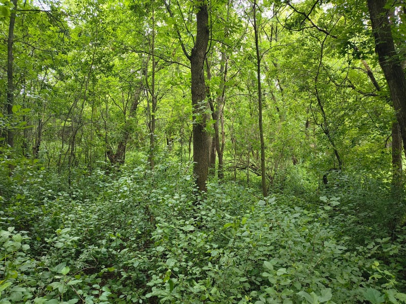 tbd NE 4th St, Glenwood, MN 56334