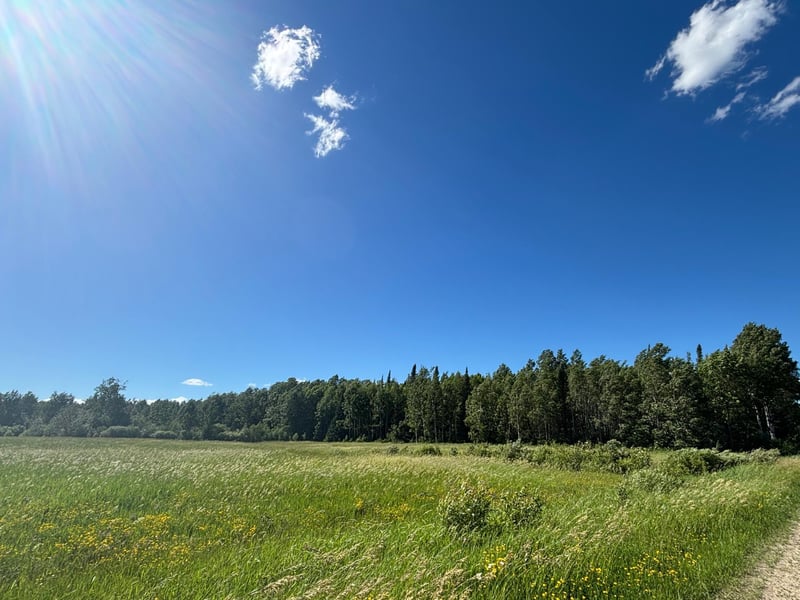 TBD 10 County Rd 75, Orr, MN 55771
