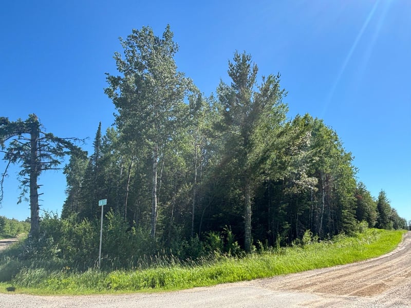 TBD 10 County Rd 75, Orr, MN 55771
