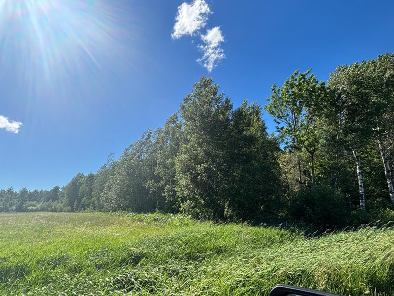 TBD 10 County Rd 75, Orr, MN 55771