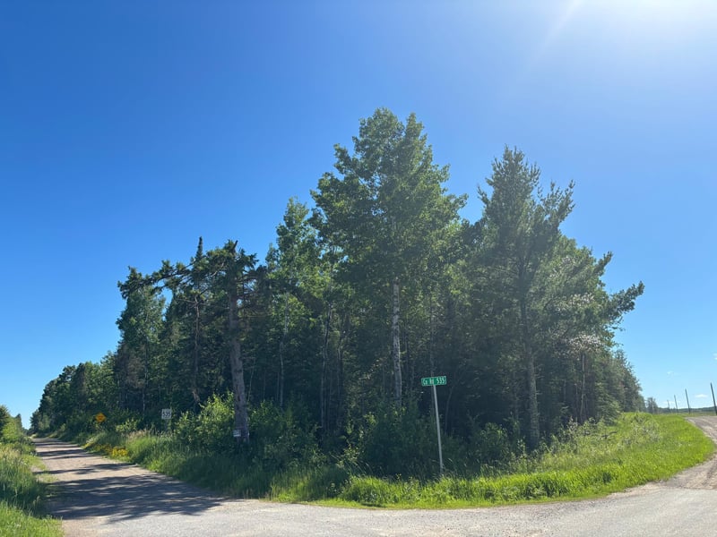 TBD 10 County Rd 75, Orr, MN 55771