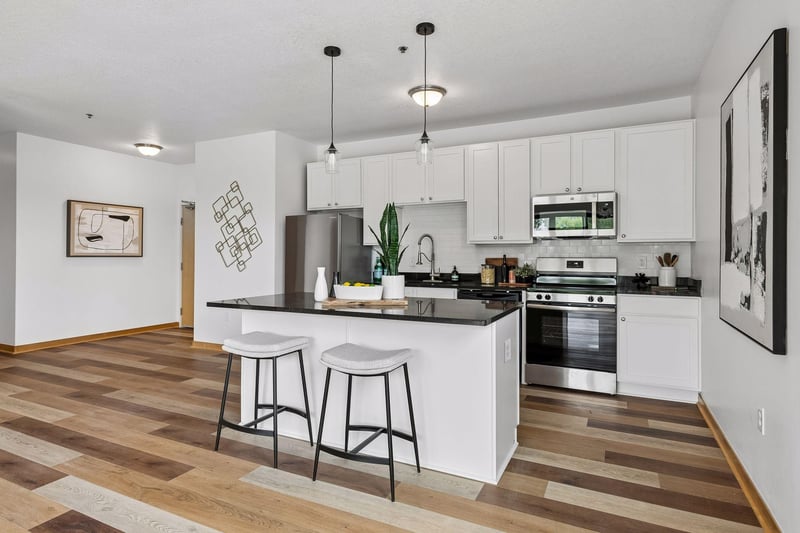 1502 5th St N #313, Hopkins, MN 55305