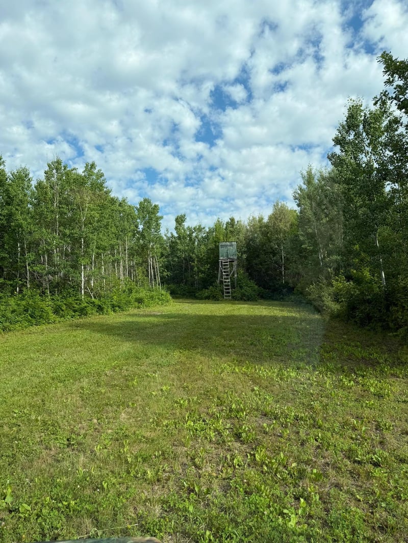 000 County Rd 56, Nashwauk, MN 55769