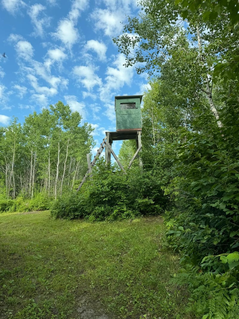 000 County Rd 56, Nashwauk, MN 55769