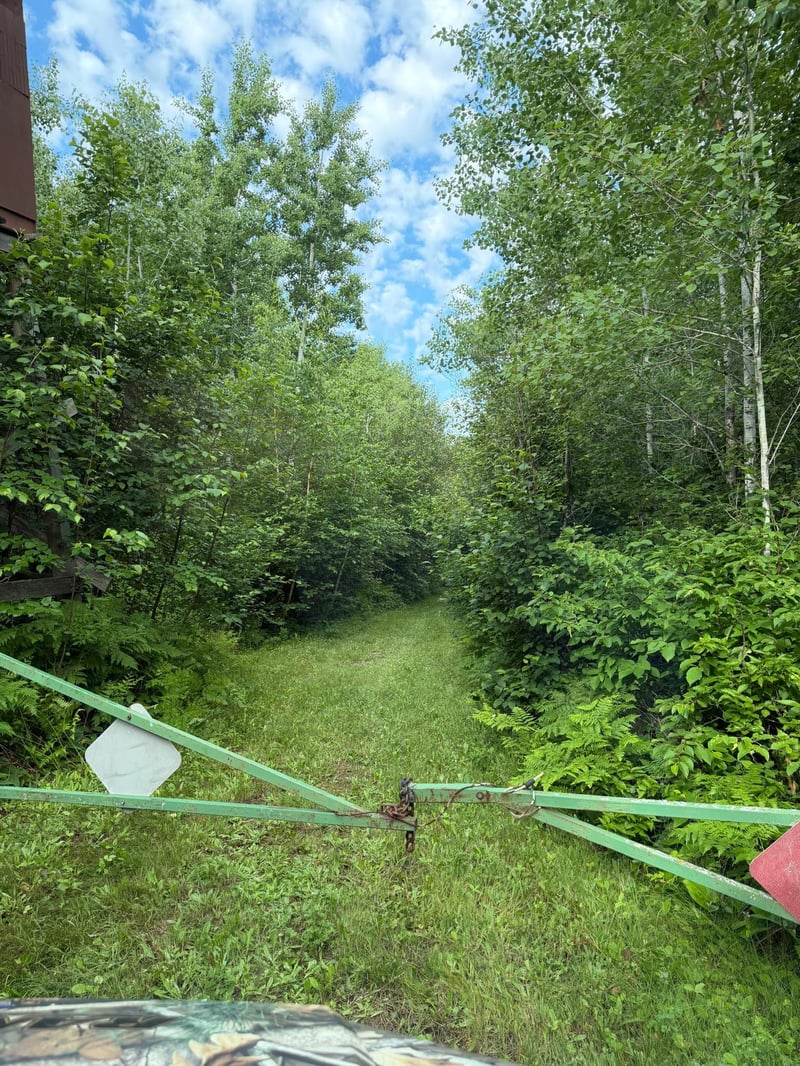 000 County Rd 56, Nashwauk, MN 55769