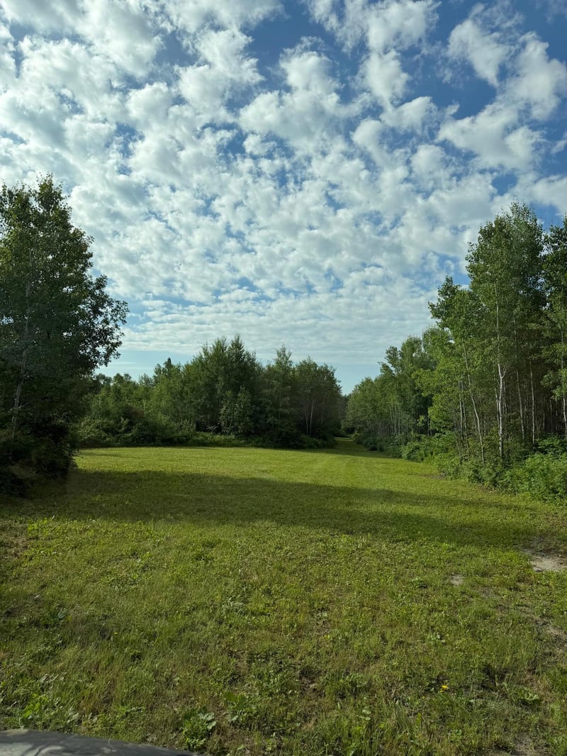 000 County Rd 56, Nashwauk, MN 55769