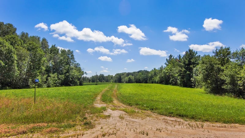 5583 280th St, Cushing, MN 56443