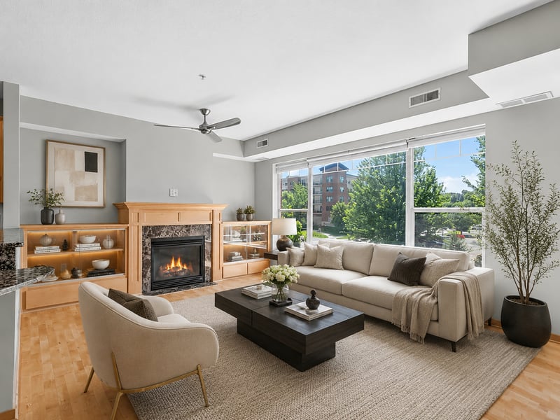 460 Ford Rd #203, Saint Louis Park, MN 55426