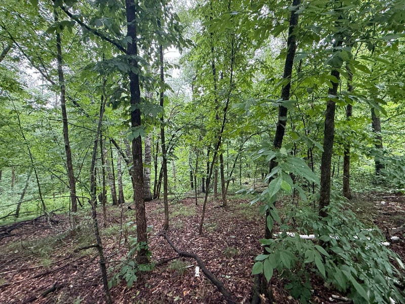 TBD Hardy Lake Rd, Baxter, MN 56425