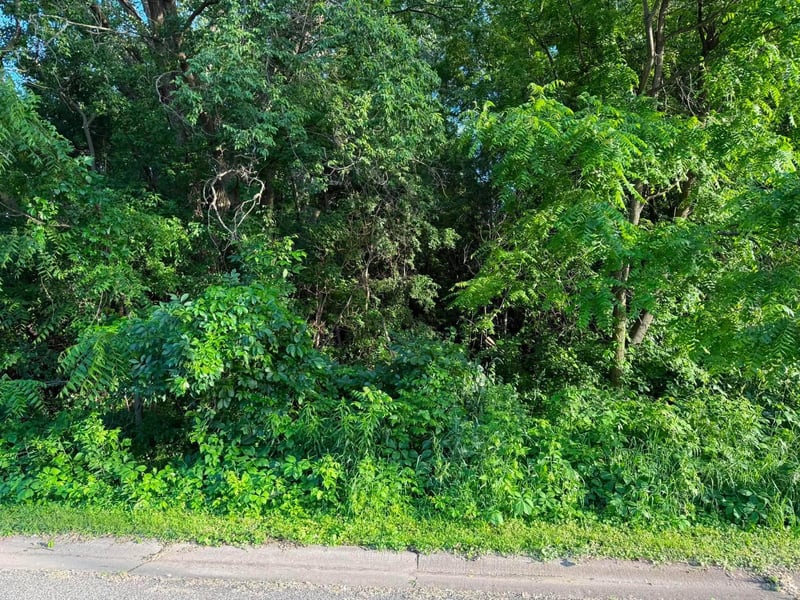 TBD 26th St N, Oakdale, MN 55128