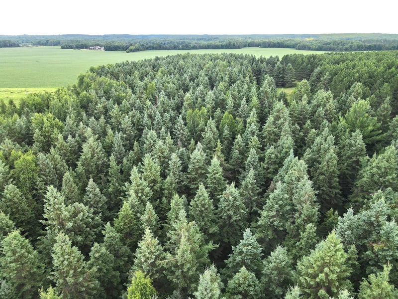 TBD-20AC Sleepy Hollow Rd, Brainerd, MN 56401
