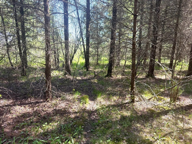 TBD-20AC Sleepy Hollow Rd, Brainerd, MN 56401