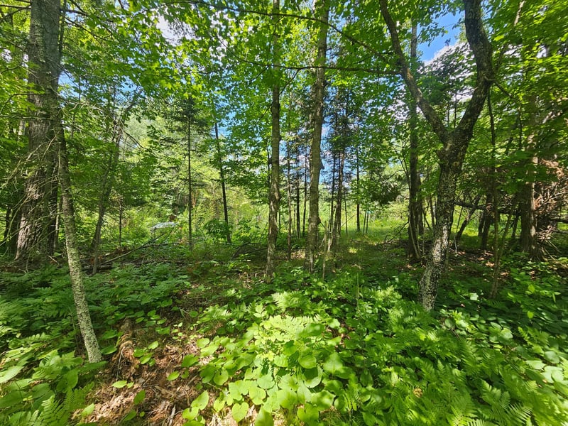 TBD Cedar Shores Dr, Deerwood Twp, MN 56444