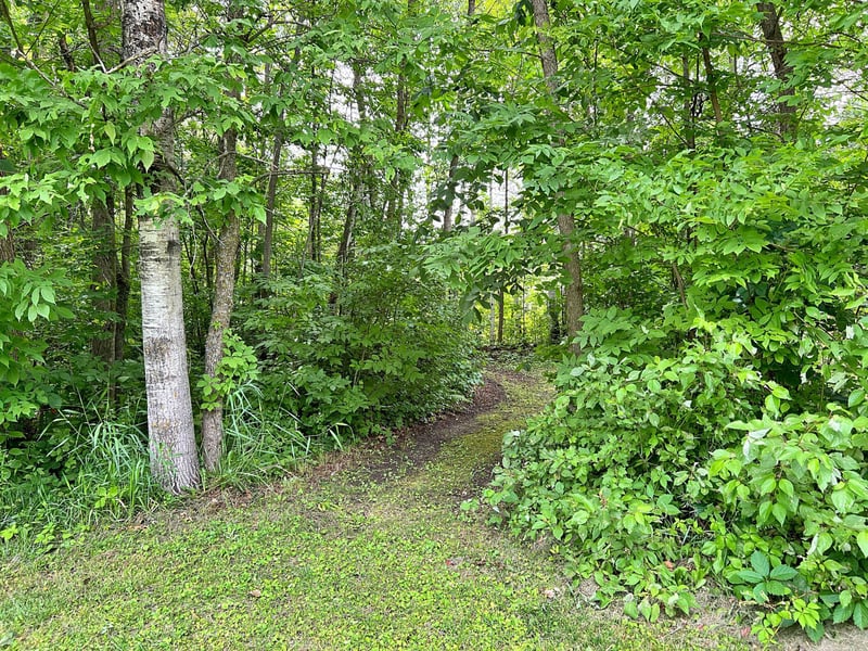 20433 640th Ln, Jacobson, MN 55752