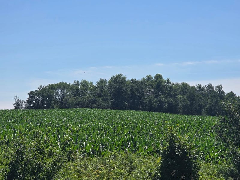 00 110 St, Frederic, WI 54837