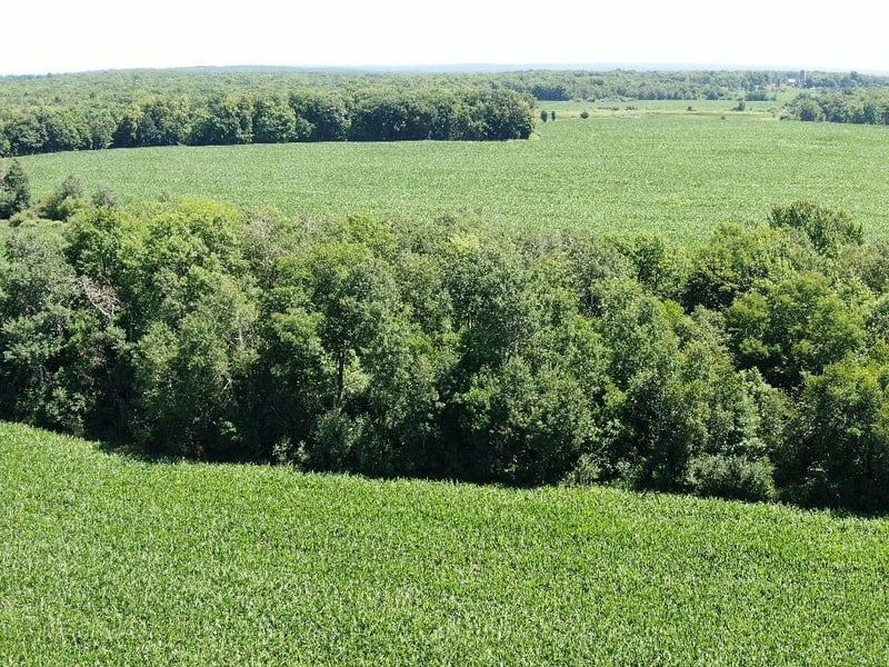 00 110 St, Frederic, WI 54837