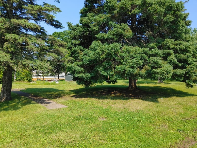 3693 Carlton St, Barnum, MN 55707