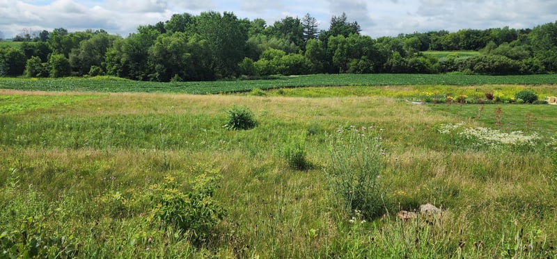 1042 3rd St, Wanamingo, MN 55983