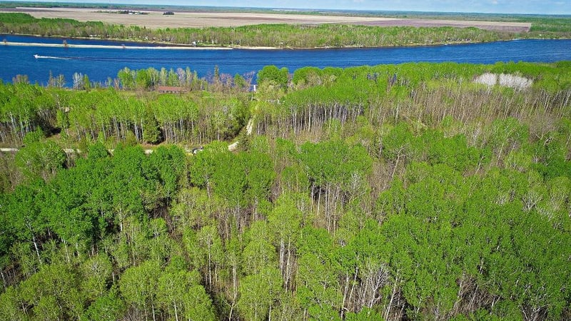 Lot 7 - TBD Driftwood Ln NW, Baudette, MN 56623