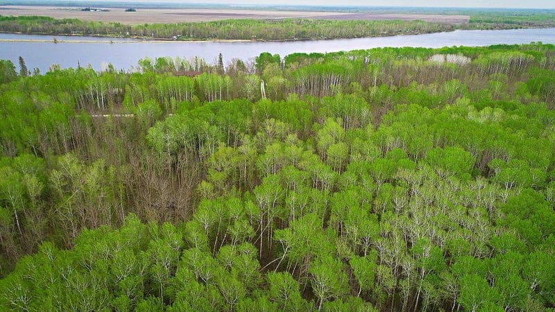 Lot 7 - TBD Driftwood Ln NW, Baudette, MN 56623