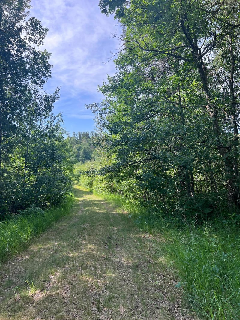 TBD Main St E, Menahga, MN 56464