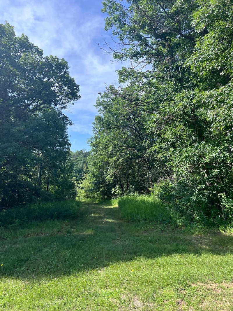 TBD Main St E, Menahga, MN 56464