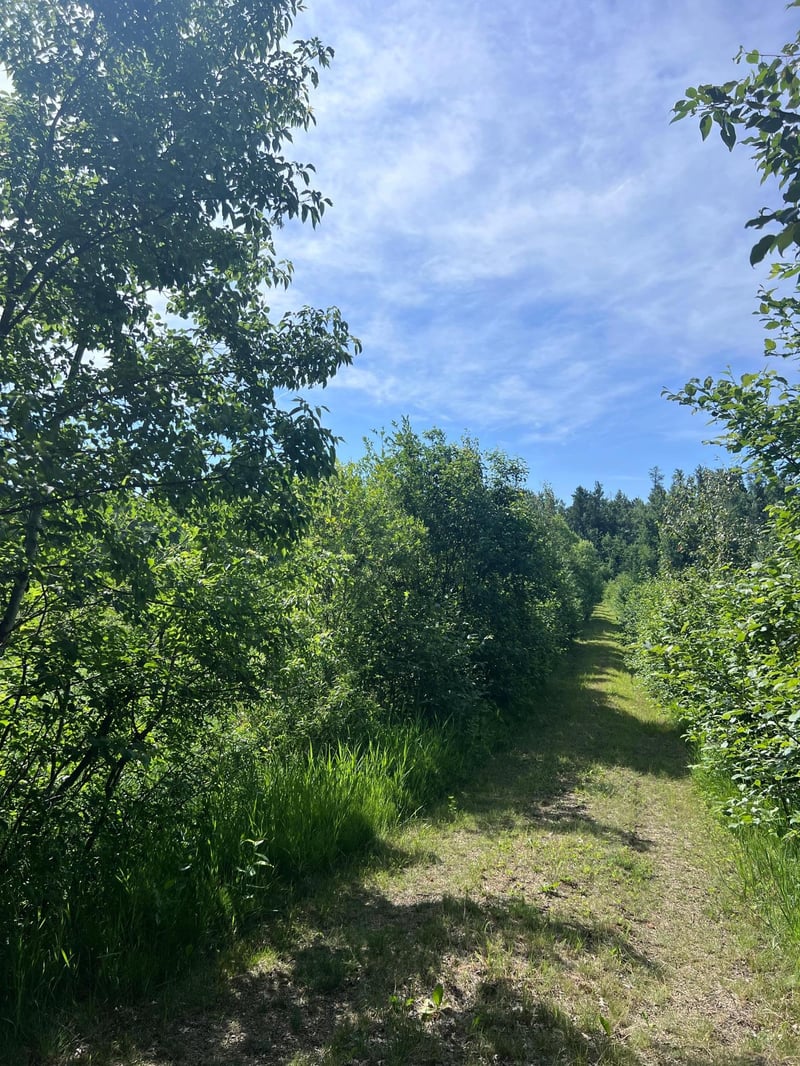 TBD Main St E, Menahga, MN 56464
