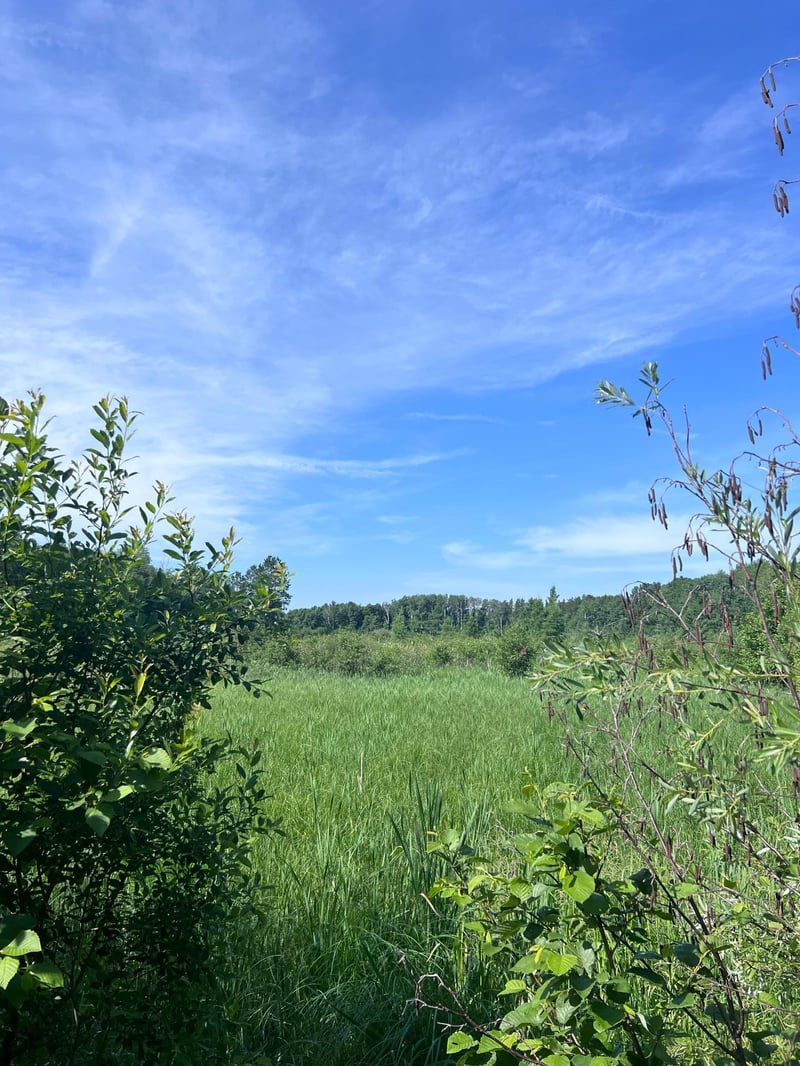 TBD Main St E, Menahga, MN 56464