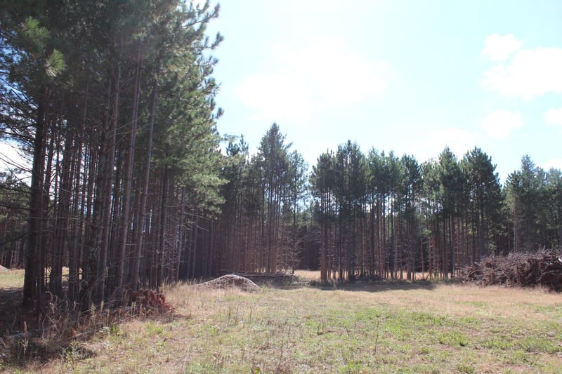XXX Hay Creek Blvd, Grantsburg, WI 54840