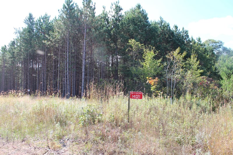 XXX Hay Creek Blvd, Grantsburg, WI 54840