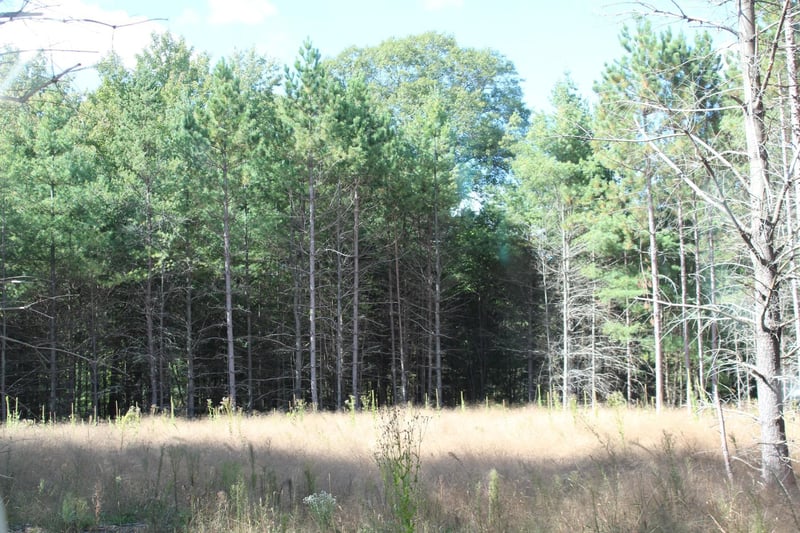 XXX Hay Creek Blvd, Grantsburg, WI 54840