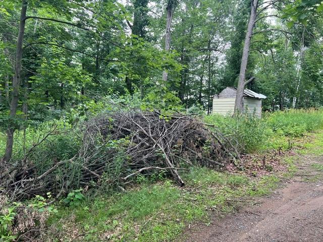 32111 Ibis St NW, Cambridge, MN 55008