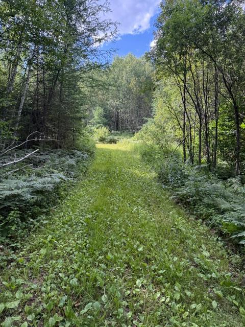 TBD N Moose Lake Rd, Pennington, MN 56663