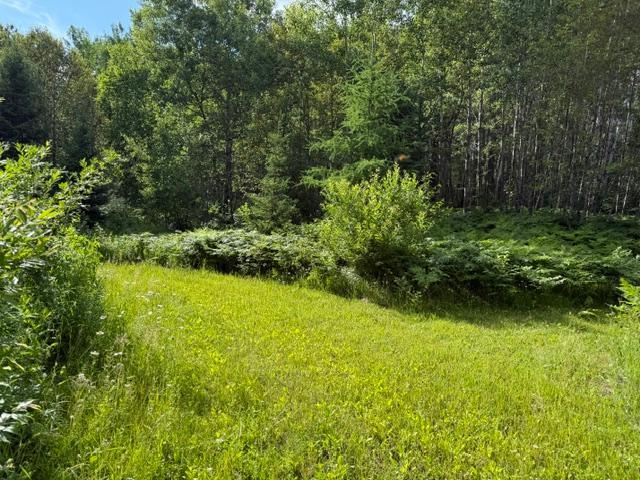 TBD N Moose Lake Rd, Pennington, MN 56663