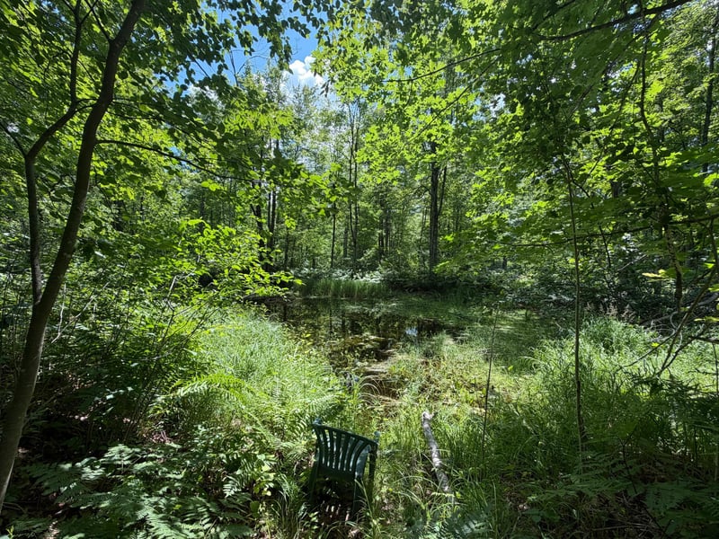 42680 Leigh Dr, Bruno, MN 55712