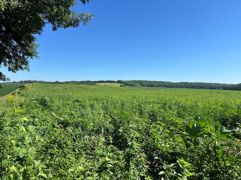 000 330th, Ashby, MN 56309