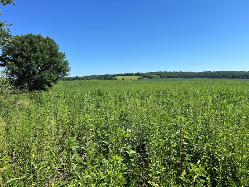 000 330th, Ashby, MN 56309