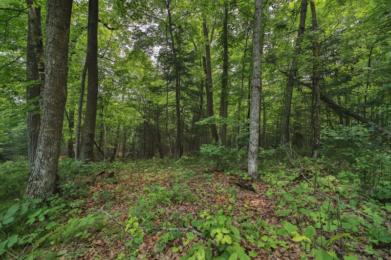 TBD Garden Ln, Mcgregor, MN 55760