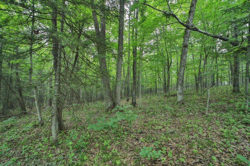 TBD Garden Ln, Mcgregor, MN 55760