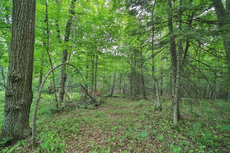 TBD Garden Ln, Mcgregor, MN 55760