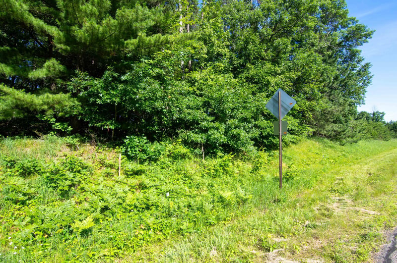 TBD County Road 19, Merrifield, MN 56465