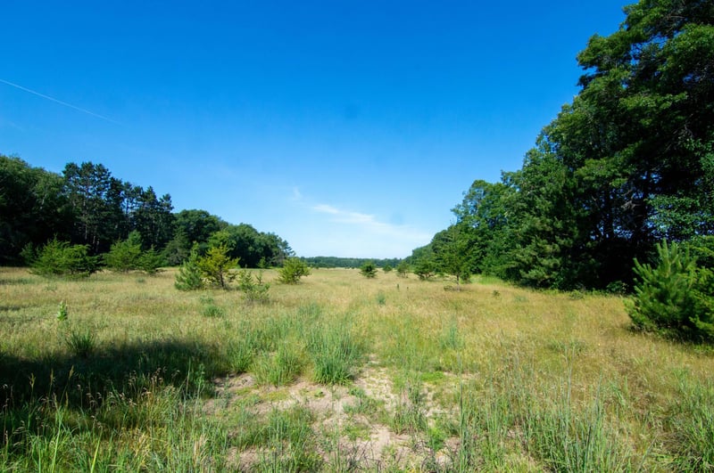 TBD County Road 19, Merrifield, MN 56465