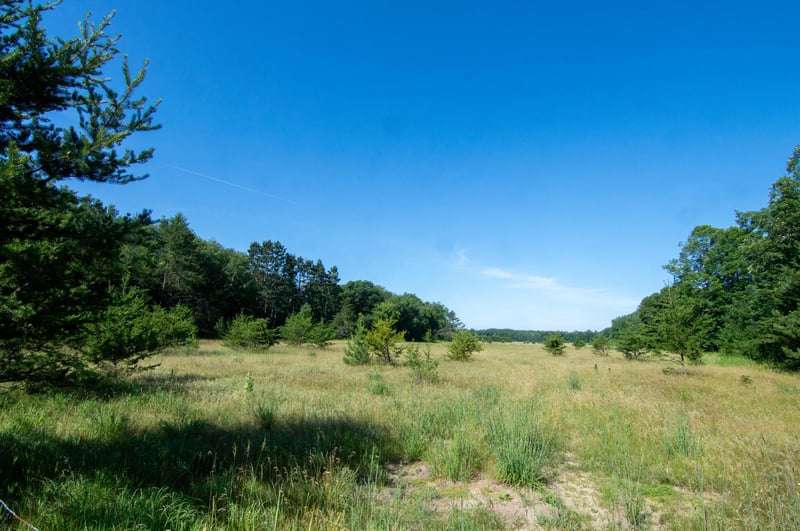 XXX County Road 19, Merrifield, MN 56465