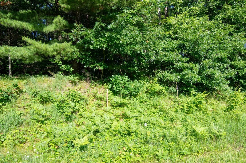 XXX County Road 19, Merrifield, MN 56465