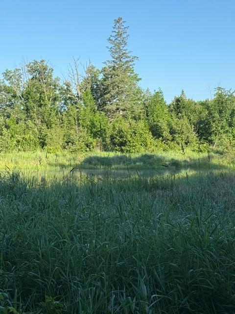 TBD Old Grade, Pine River, MN 56474
