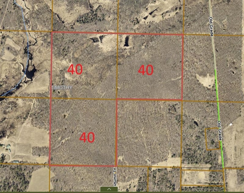 TBD Old Grade, Pine River, MN 56474
